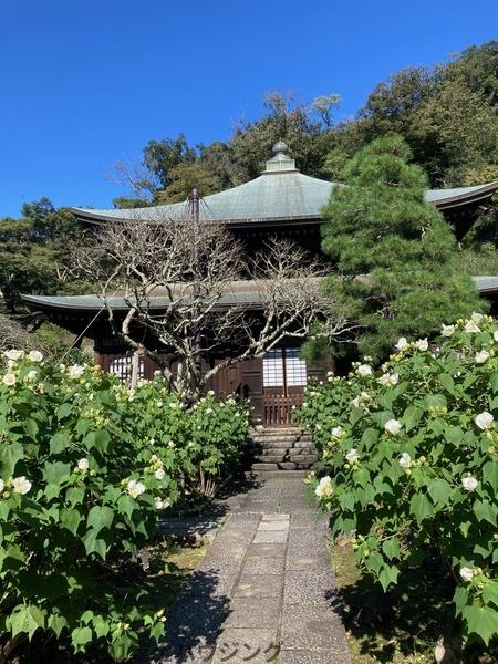 鎌倉市二階堂の中古一戸建て(瑞泉寺2)