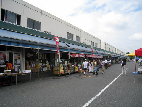 ココタウンヒルトップマリーナ(湘南藤沢地方卸売市場)