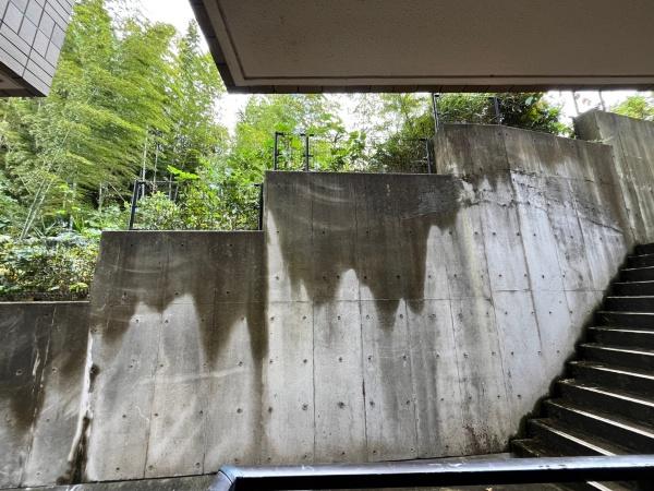 ヴァンテーヌ湘南藤沢