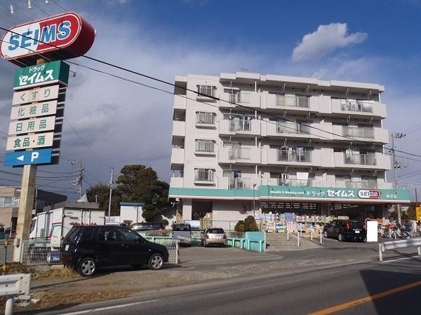 ダイアパレスパークサイド藤沢(ドラッグセイムス柄沢店)