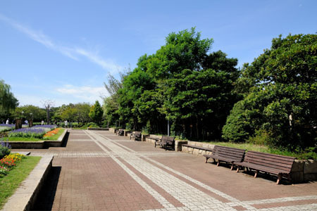 藤沢市本鵠沼2丁目 新築2号棟 全2棟(長久保公園)