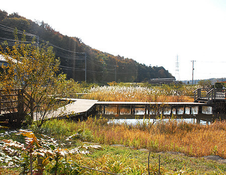 グレーシア湘南ライフタウン(引地川親水公園)