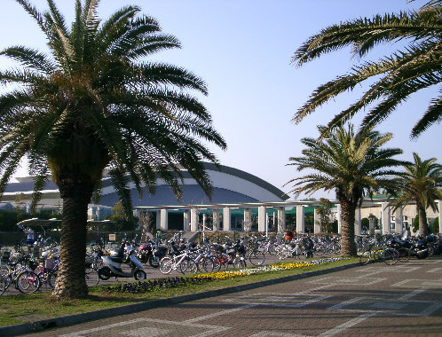 藤沢市鵠沼海岸5丁目 新築1号棟 全3区画(鵠沼運動公園)