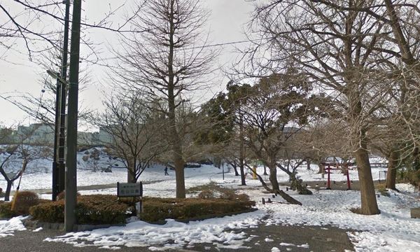 藤沢市本藤沢2丁目の土地(柏山公園)