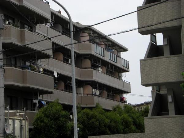 ラムズ湘南西海岸