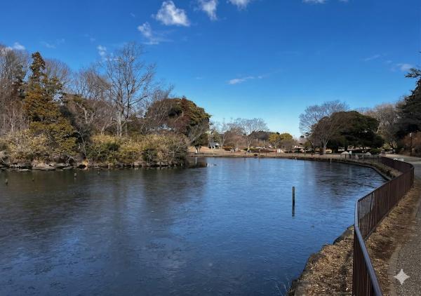 横浜市泉区緑園７丁目の土地(こども自然公園)