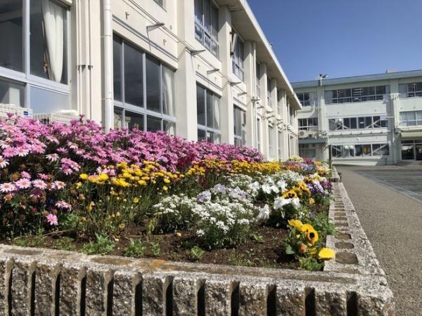 茅ヶ崎市松林１丁目の新築一戸建(松林小学校)