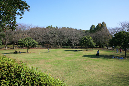 湘南小糸第一住宅1号棟(大庭城址公園)