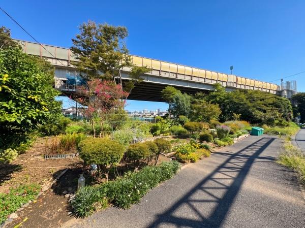 茅ヶ崎市菱沼１丁目の土地