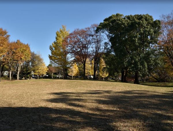 藤沢市白旗4丁目　新築戸建　全1棟(翠ケ丘公園)