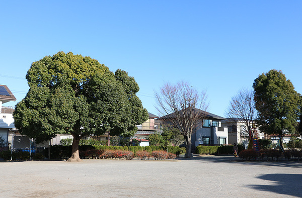 高座郡寒川町中瀬の土地(菅田公園)