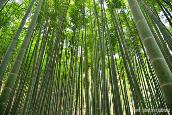 鎌倉市大町6丁目の土地(報国寺)