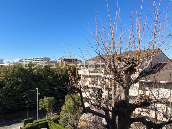 パークタウン茅ヶ崎5号棟