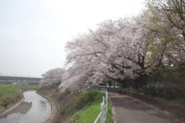 藤沢市湘南台6丁目　新築戸建B棟　全2棟