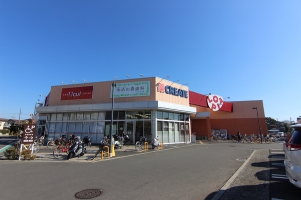 茅ヶ崎市萩園の土地(ロピア茅ヶ崎店)