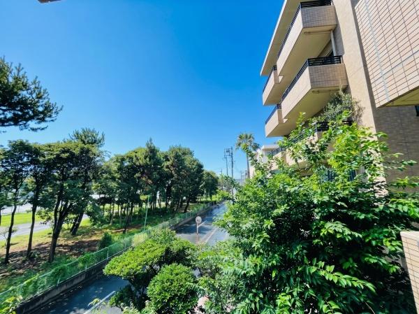 ソルシェ湘南辻堂海岸