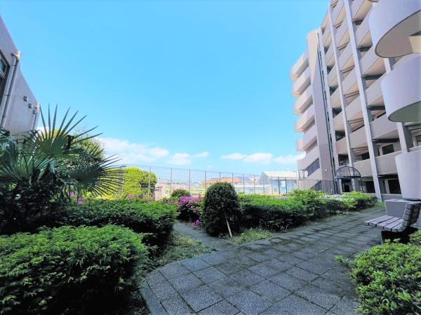 レクセルマンション茅ヶ崎