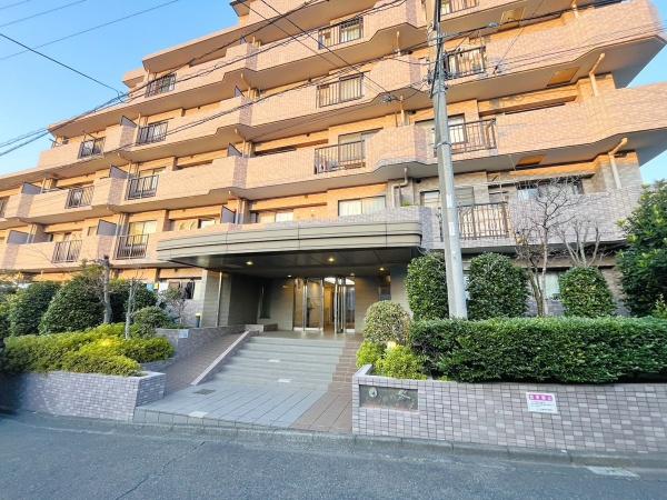 シーダム藤沢善行