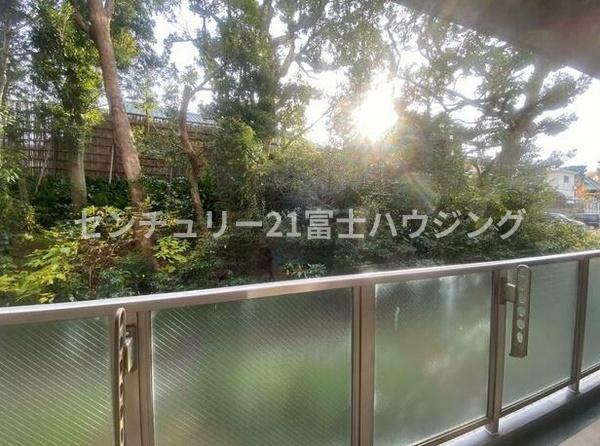 ジェームス湘南