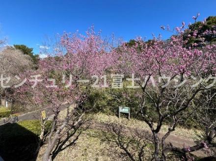茅ヶ崎市松風台Ⅳ　新築戸建B棟　全2棟