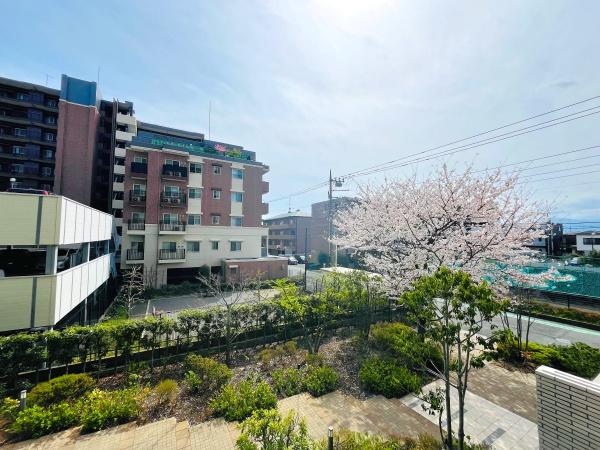 ヴェレーナさがみ野