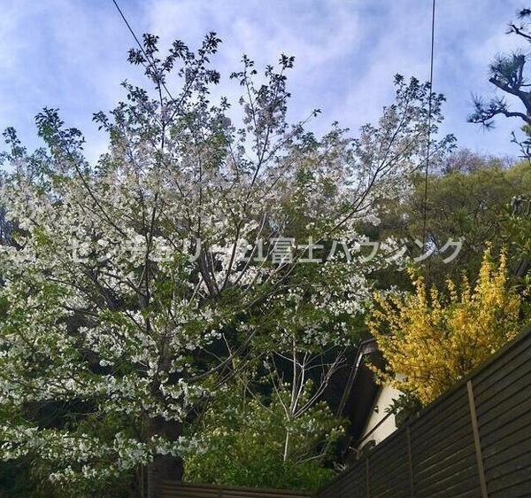 鎌倉市長谷５丁目の中古一戸建て