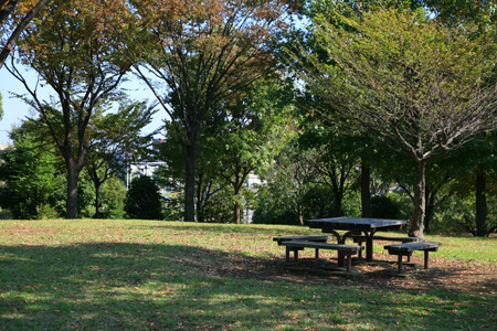 藤沢市遠藤第18 新築戸建1号棟 全2棟(遠藤公園)