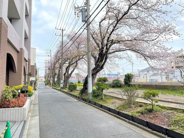 藤和シティホームズ南藤沢