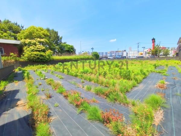 茅ヶ崎市浜之郷の土地