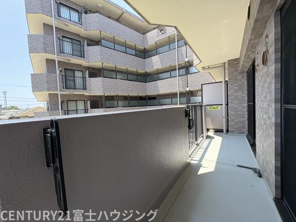 シーダム藤沢善行