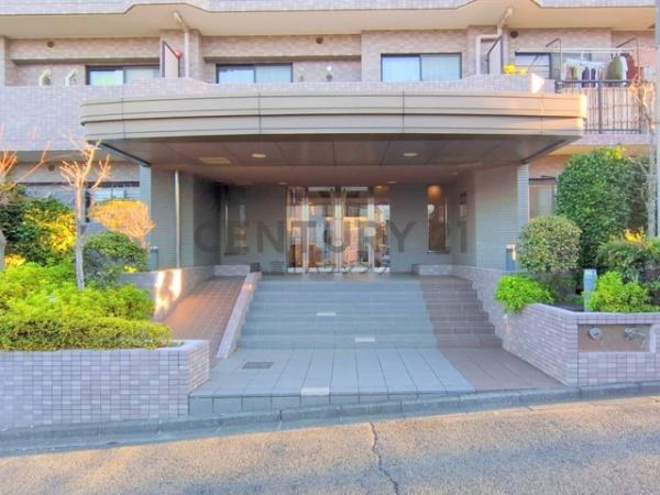 シーダム藤沢善行