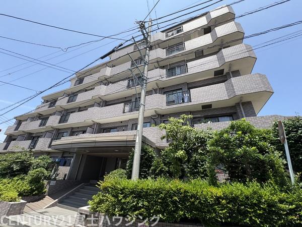 シーダム藤沢善行