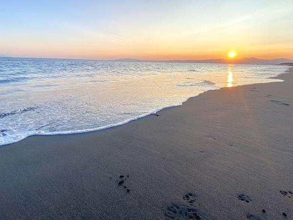 ライオンズガーデン湘南緑が浜