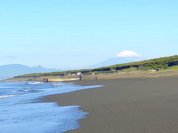 ライオンズガーデン湘南緑が浜