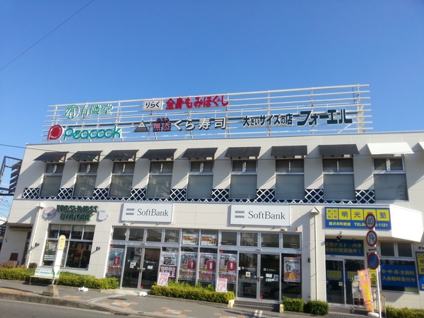 藤沢スカイハイツ2号棟(ピーコックストア藤沢トレアージュ白旗店)