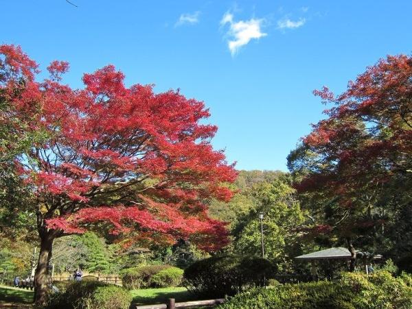 レーベン横浜汐見台ソラノテ(久良岐公園)