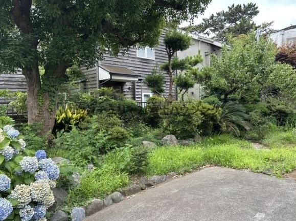 藤沢市鵠沼松が岡1丁目の土地(現地土地写真)