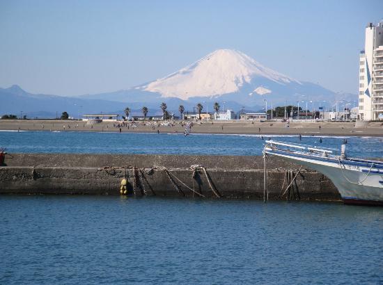 鎌倉市腰越4丁目4期　新築戸建3号棟　全3棟(腰越漁港)