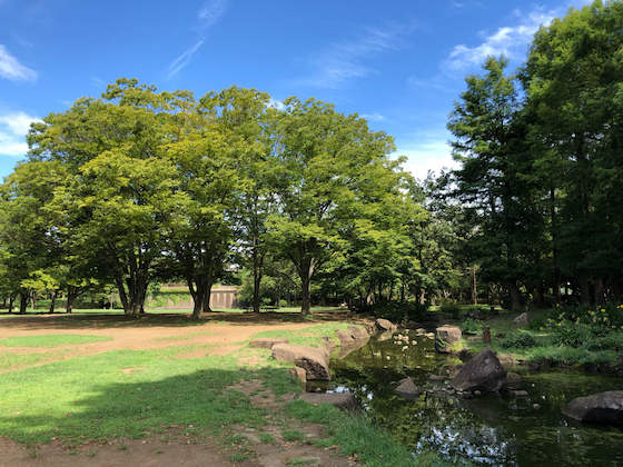 茅ヶ崎市茅ヶ崎　新築戸建1号棟　全2区画(中央公園)