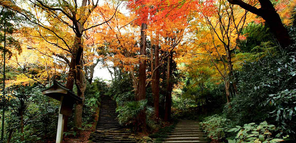 鎌倉市浄明寺4丁目　新築戸建　全1棟(瑞泉寺)