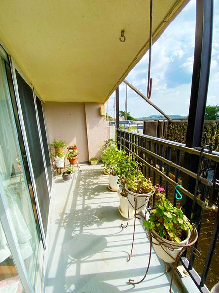 鵠沼スカイマンション