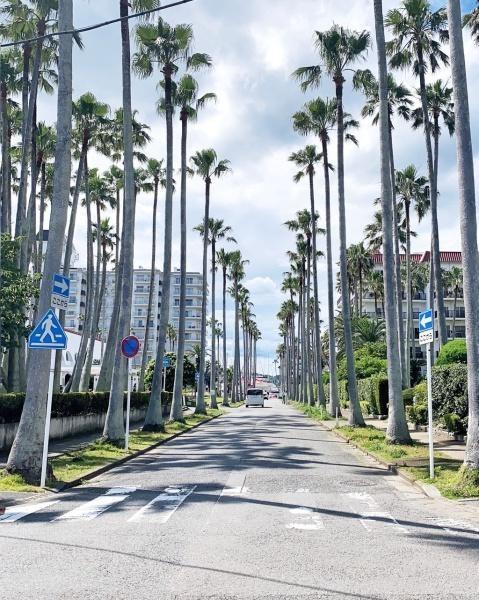 逗子市小坪６丁目の中古一戸建て(リビエラリゾート逗子マリーナ)