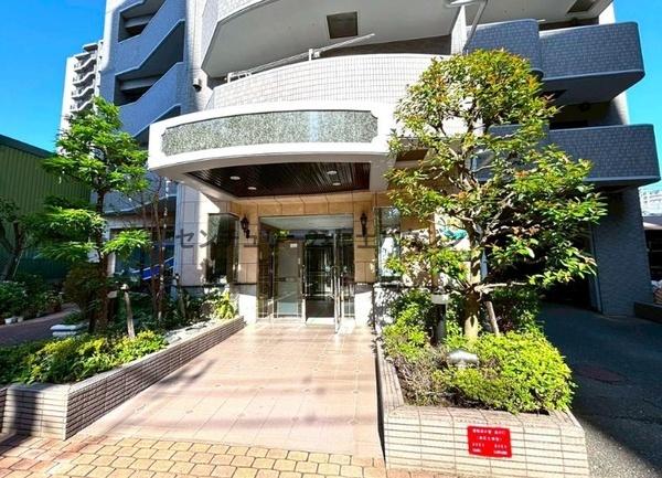 メディウス藤沢