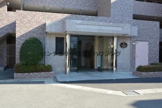 ルピナス鎌倉大船