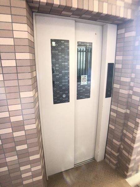 ルピナス鎌倉大船