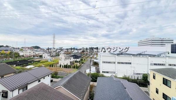 ルピナス鎌倉大船