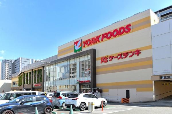 プレシス本厚木エクシア(ヨークフーズ厚木店)