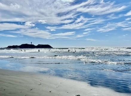 藤沢市鵠沼海岸２丁目の中古一戸建て(鵠沼海浜公園)
