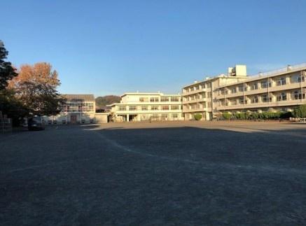鎌倉市材木座２丁目の土地(第一小学校)