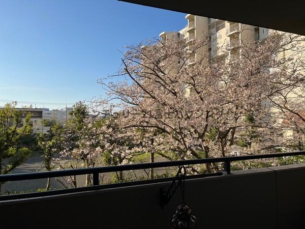 ラシェール鎌倉岡本ハイライズ